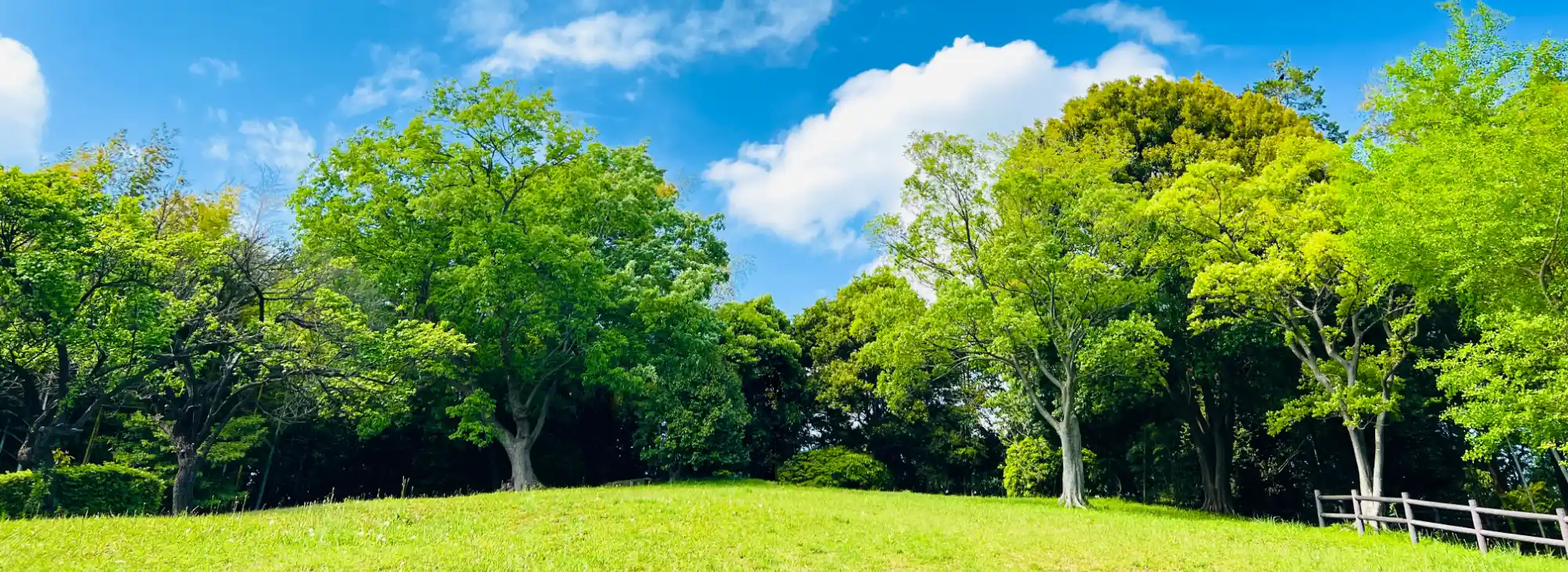 上飯田ねむの木こころクリニック<span>(仮称)</span>