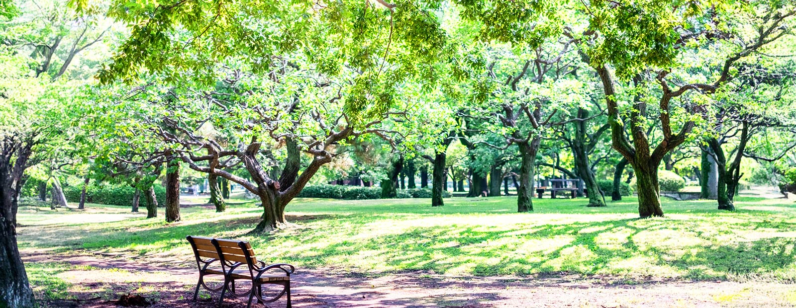 キービジュアルイメージ01